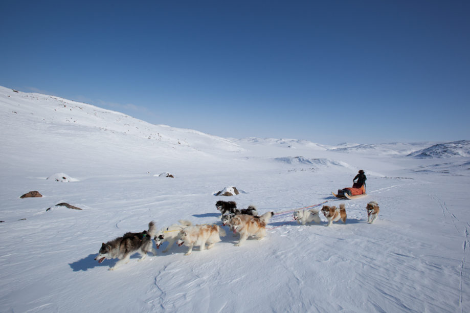 Dogsled, Ski or Mountaineer Ellesmere Island